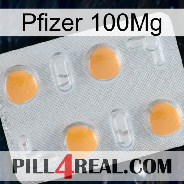 Pfizer 100Mg 24.jpg